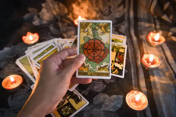 tarot cards Latimer